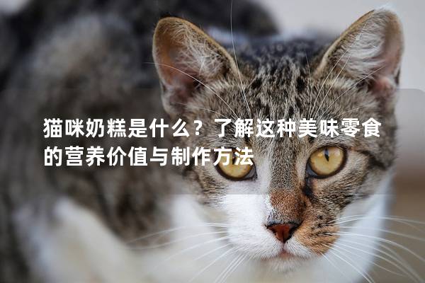 猫咪奶糕是什么？了解这种美味零食的营养价值与制作方法