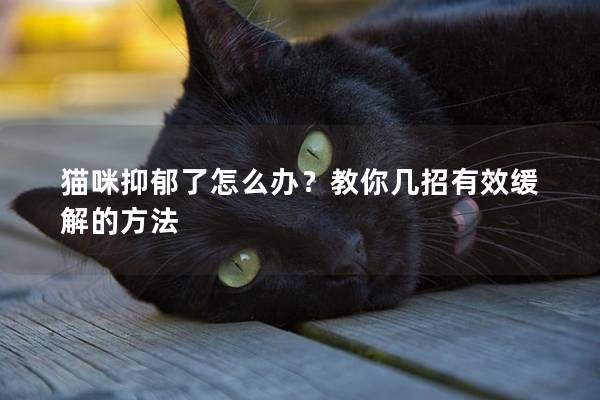 猫咪抑郁了怎么办？教你几招有效缓解的方法