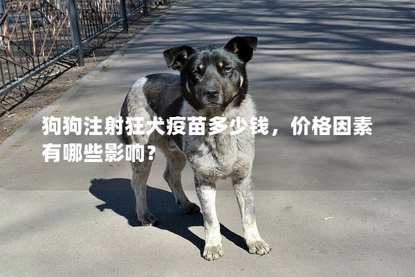 狗狗注射狂犬疫苗多少钱，价格因素有哪些影响？