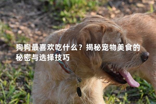 狗狗最喜欢吃什么？揭秘宠物美食的秘密与选择技巧