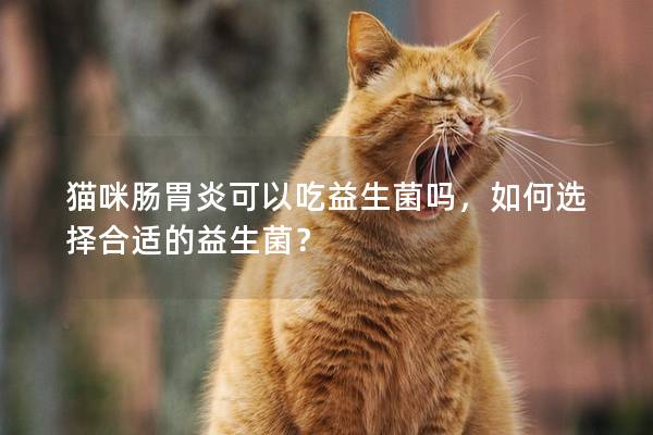 猫咪肠胃炎可以吃益生菌吗，如何选择合适的益生菌？