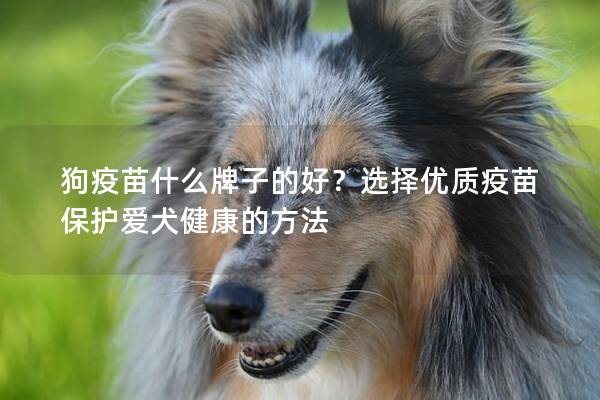 狗疫苗什么牌子的好？选择优质疫苗保护爱犬健康的方法