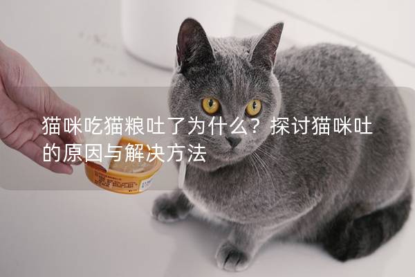 猫咪吃猫粮吐了为什么？探讨猫咪吐的原因与解决方法