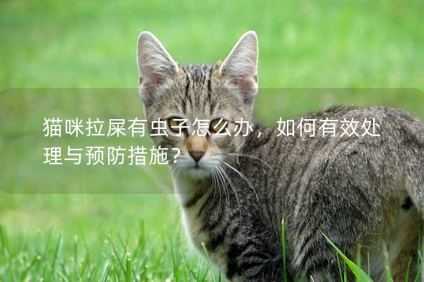 猫咪拉屎有虫子怎么办，如何有效处理与预防措施？