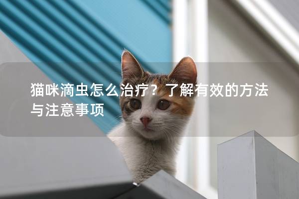 猫咪滴虫怎么治疗？了解有效的方法与注意事项