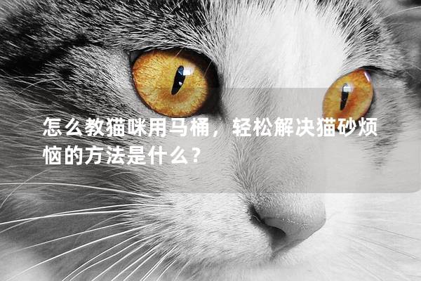 怎么教猫咪用马桶，轻松解决猫砂烦恼的方法是什么？