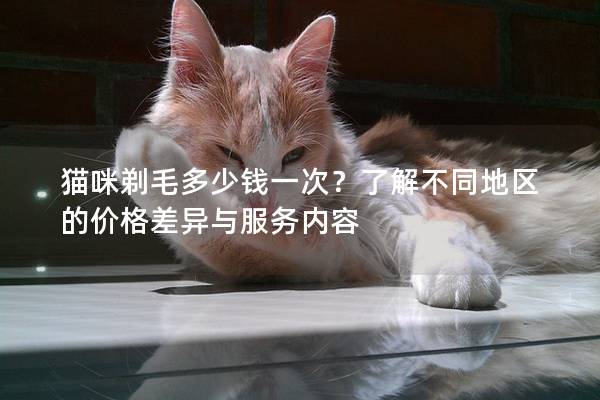 猫咪剃毛多少钱一次？了解不同地区的价格差异与服务内容