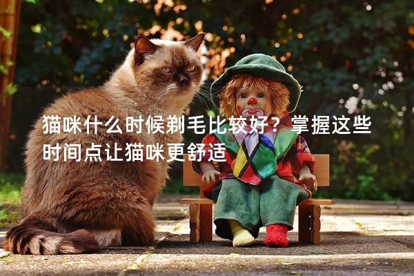 猫咪什么时候剃毛比较好？掌握这些时间点让猫咪更舒适