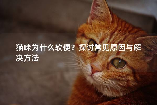 猫咪为什么软便？探讨常见原因与解决方法