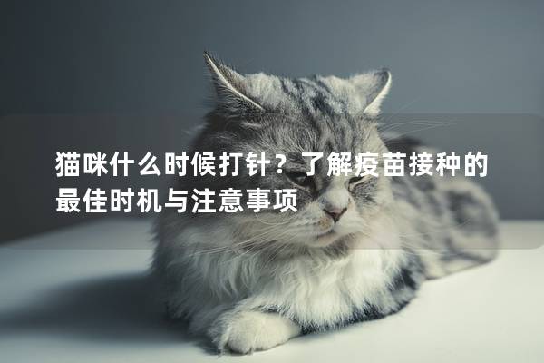 猫咪什么时候打针？了解疫苗接种的最佳时机与注意事项