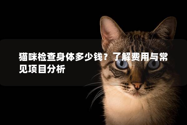 猫咪检查身体多少钱？了解费用与常见项目分析