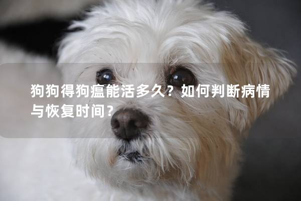 狗狗得狗瘟能活多久？如何判断病情与恢复时间？