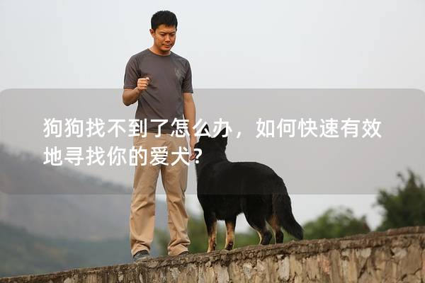 狗狗找不到了怎么办，如何快速有效地寻找你的爱犬？