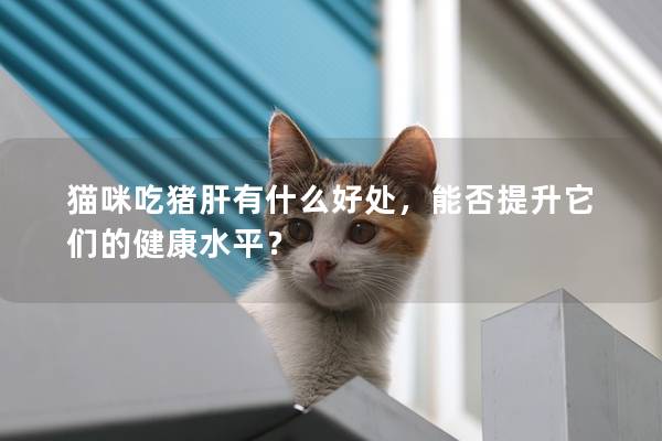 猫咪吃猪肝有什么好处，能否提升它们的健康水平？