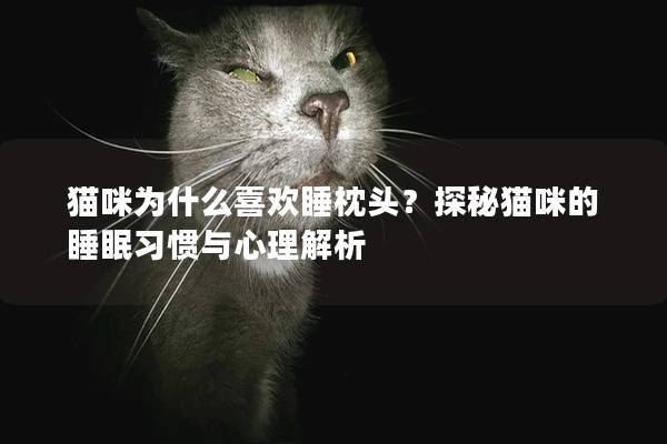 猫咪为什么喜欢睡枕头？探秘猫咪的睡眠习惯与心理解析