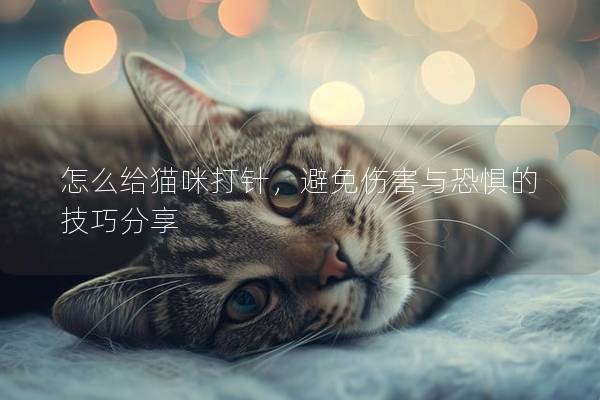 怎么给猫咪打针，避免伤害与恐惧的技巧分享