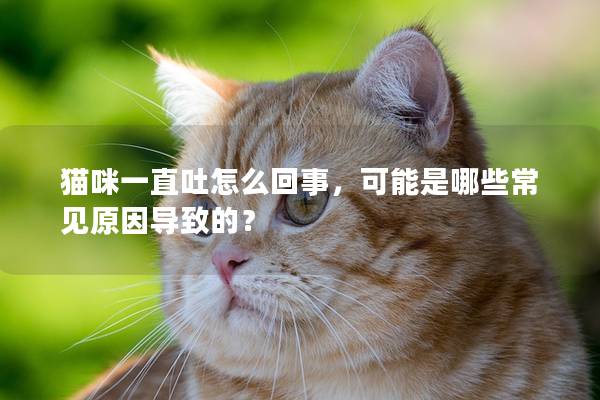 猫咪一直吐怎么回事，可能是哪些常见原因导致的？