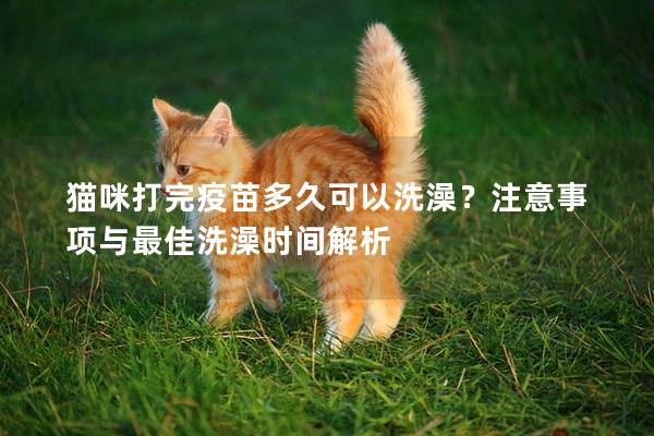 猫咪打完疫苗多久可以洗澡？注意事项与最佳洗澡时间解析