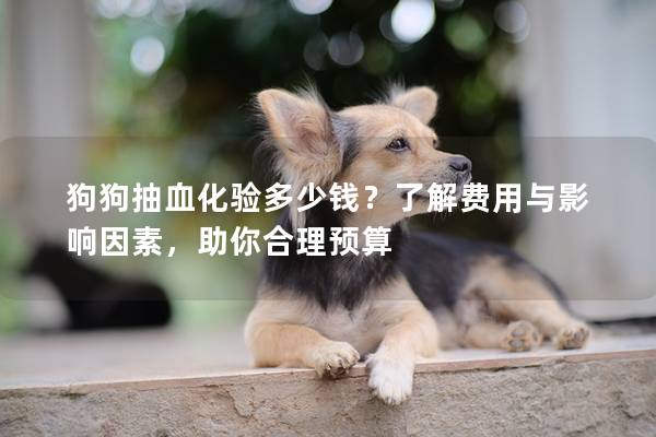 狗狗抽血化验多少钱？了解费用与影响因素，助你合理预算