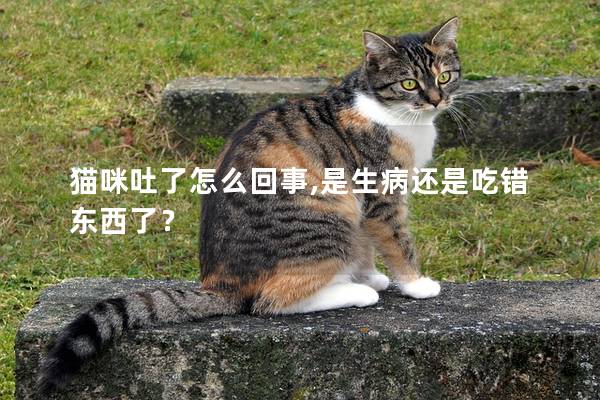 猫咪吐了怎么回事,是生病还是吃错东西了？