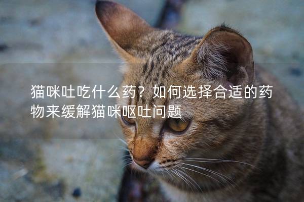 猫咪吐吃什么药？如何选择合适的药物来缓解猫咪呕吐问题