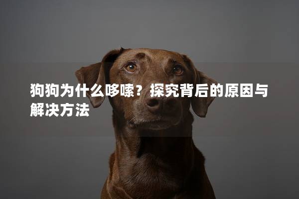 狗狗为什么哆嗦？探究背后的原因与解决方法