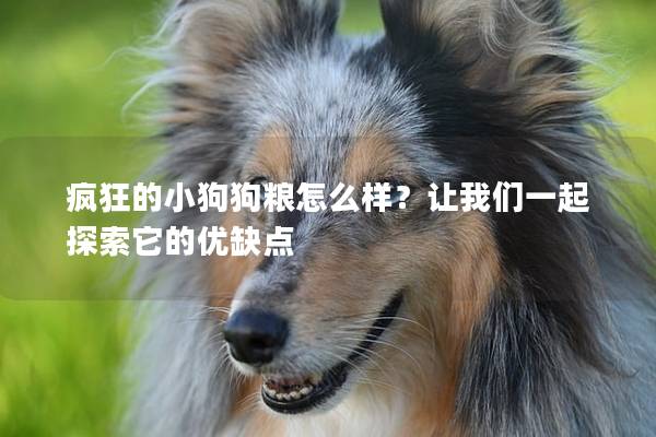 疯狂的小狗狗粮怎么样？让我们一起探索它的优缺点