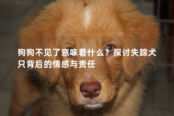 狗狗不见了意味着什么？探讨失踪犬只背后的情感与责任