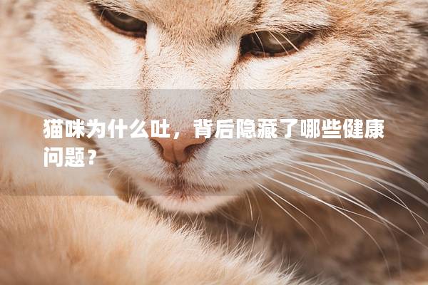 猫咪为什么吐，背后隐藏了哪些健康问题？