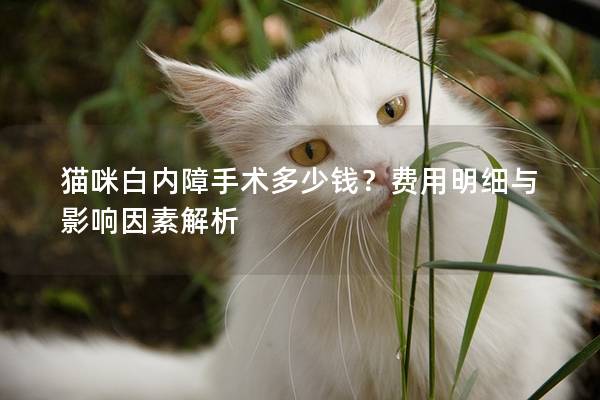 猫咪白内障手术多少钱？费用明细与影响因素解析