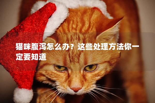 猫咪腹泻怎么办？这些处理方法你一定要知道