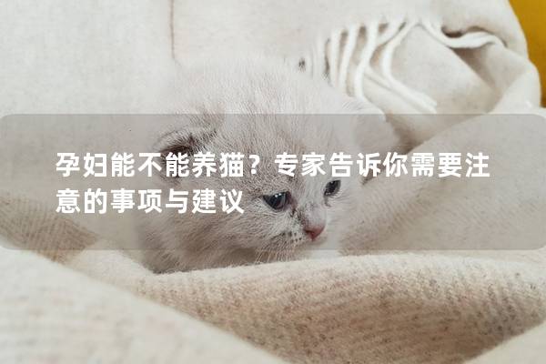 孕妇能不能养猫？专家告诉你需要注意的事项与建议