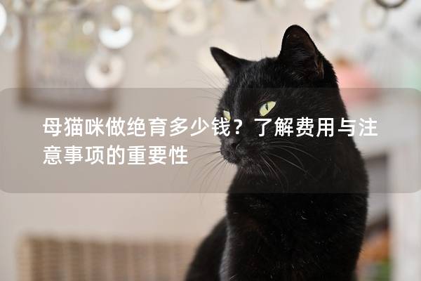 母猫咪做绝育多少钱？了解费用与注意事项的重要性