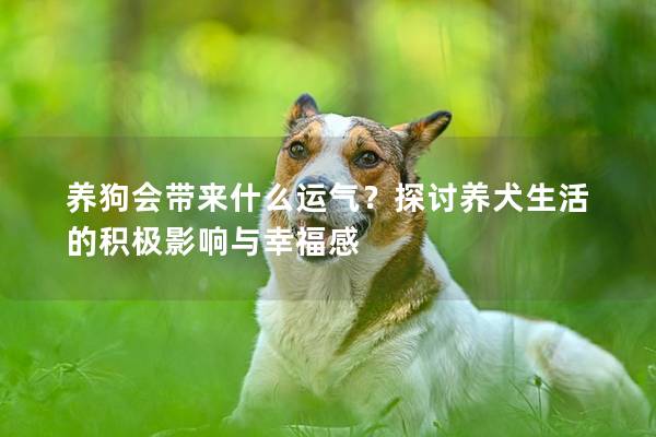 养狗会带来什么运气？探讨养犬生活的积极影响与幸福感