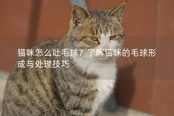 猫咪怎么吐毛球？了解猫咪的毛球形成与处理技巧