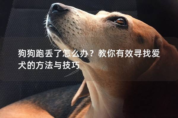 狗狗跑丢了怎么办？教你有效寻找爱犬的方法与技巧