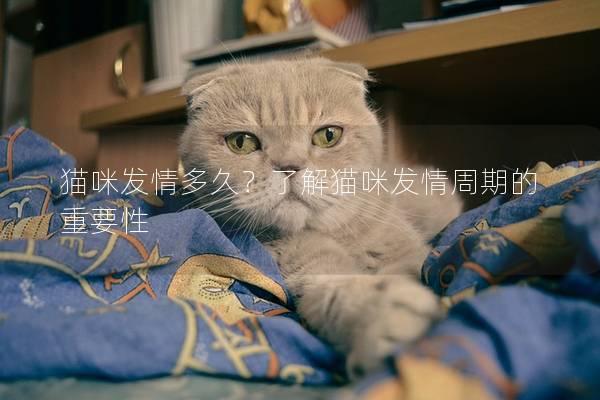 猫咪发情多久？了解猫咪发情周期的重要性