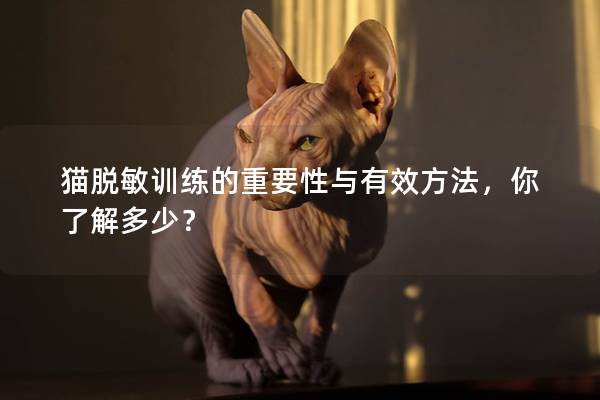 猫脱敏训练的重要性与有效方法，你了解多少？