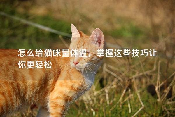 怎么给猫咪量体温，掌握这些技巧让你更轻松