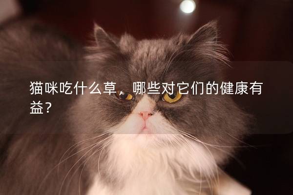 猫咪吃什么草，哪些对它们的健康有益？