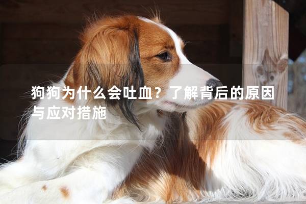 狗狗为什么会吐血？了解背后的原因与应对措施