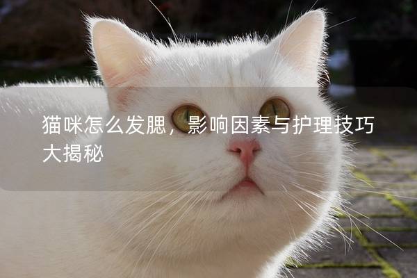 猫咪怎么发腮，影响因素与护理技巧大揭秘