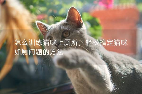 怎么训练猫咪上厕所，轻松搞定猫咪如厕问题的方法