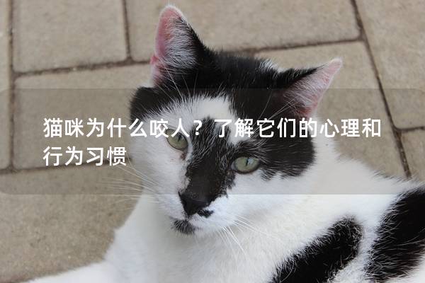 猫咪为什么咬人？了解它们的心理和行为习惯