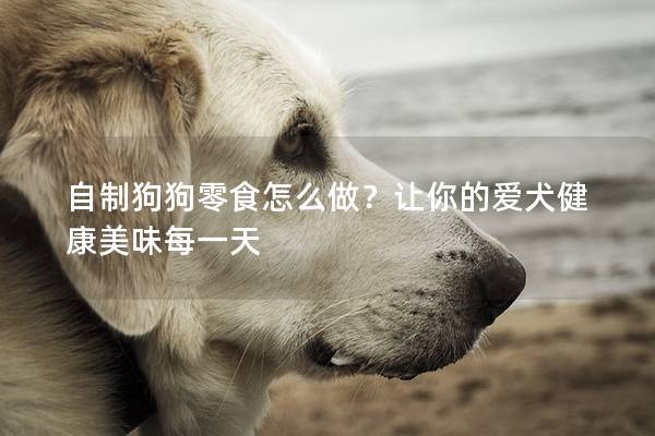 自制狗狗零食怎么做？让你的爱犬健康美味每一天