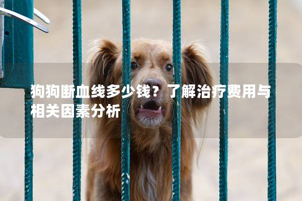 狗狗断血线多少钱？了解治疗费用与相关因素分析