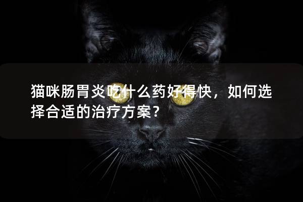 猫咪肠胃炎吃什么药好得快，如何选择合适的治疗方案？