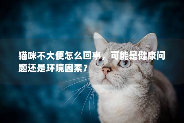 猫咪不大便怎么回事，可能是健康问题还是环境因素？