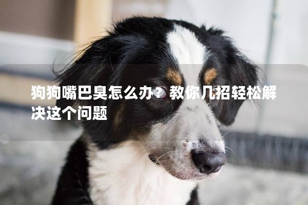 狗狗嘴巴臭怎么办？教你几招轻松解决这个问题