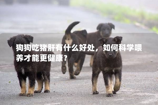 狗狗吃猪肝有什么好处，如何科学喂养才能更健康？